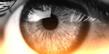 La anatomía del ojo