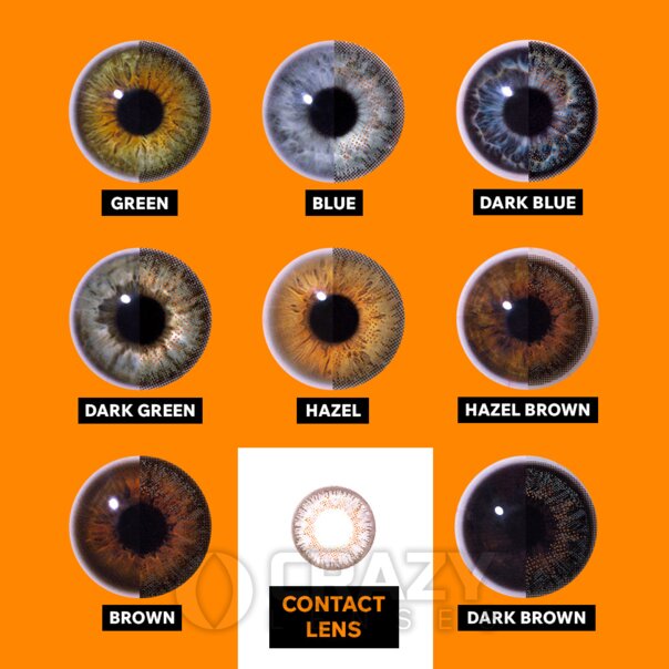 Blend Green Natural Kontaktlinsen (Tageslinsen) | Crazy Lenses