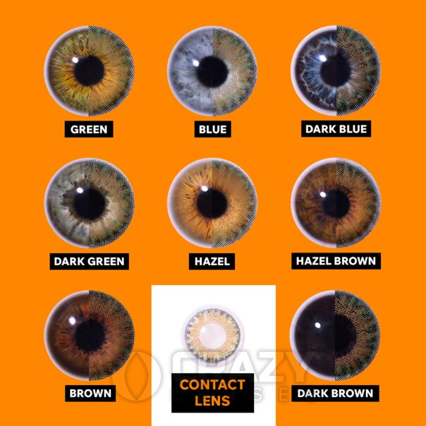 Pure Hazel Natural Contact Lenses | Monthly Colored Contacts