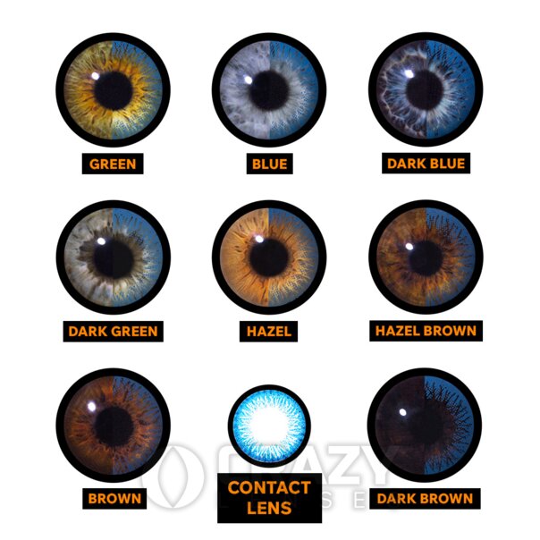 Lentilles De Contact Naturelles Bleues Cercle Bicolores (Journalières)