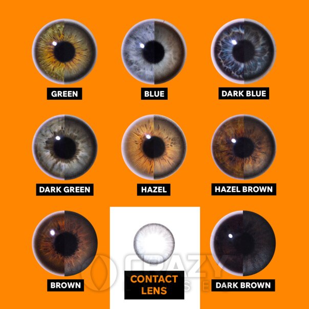 Raya Grey Natural Kontaktlinsen | Monatliche farbige Kontaktlinsen