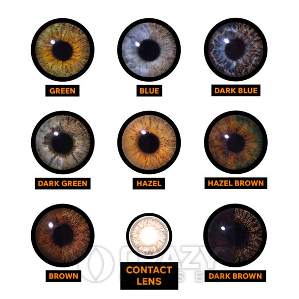 Blend Brown Natural Contact Lenses (30 Day) | Crazy Lenses