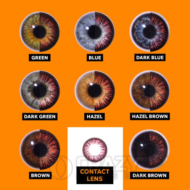 Brown Contact Lenses | Daily Coloured Contacts