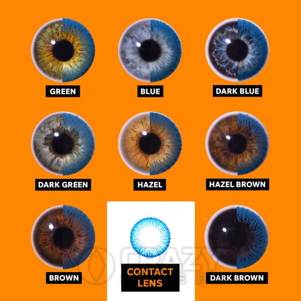 Two Tone Circle Blue Contact Lenses | Daily Natural Contacts