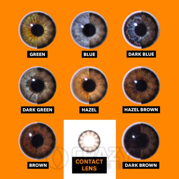 Big Eye Sexy Brown Eye Accessories (Pair) | Big Eye Eye Accessories