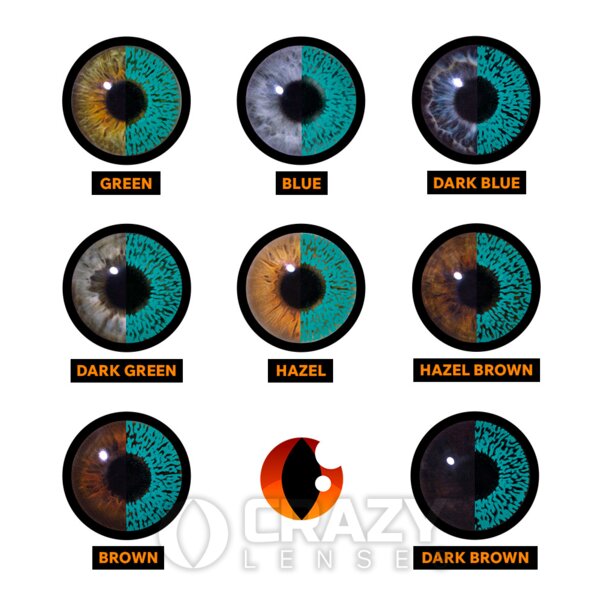 Aqua One Tone Eye Accessories (Pair) Colored Eye Accessories