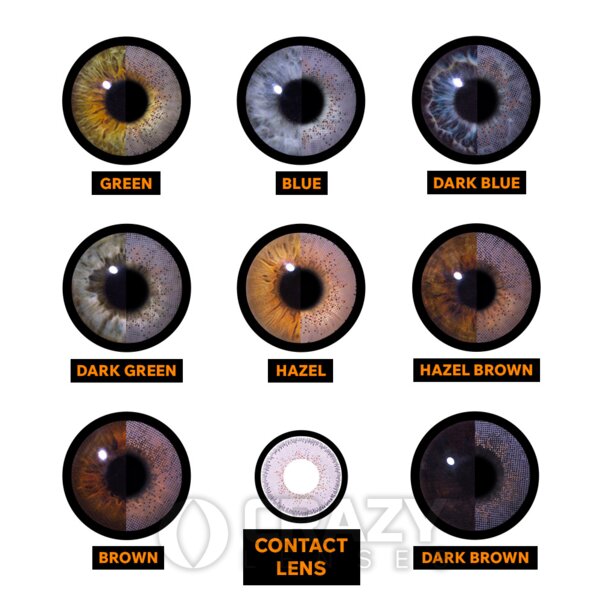 Violet Natural Contact Lenses | Monthly Colored Contacts