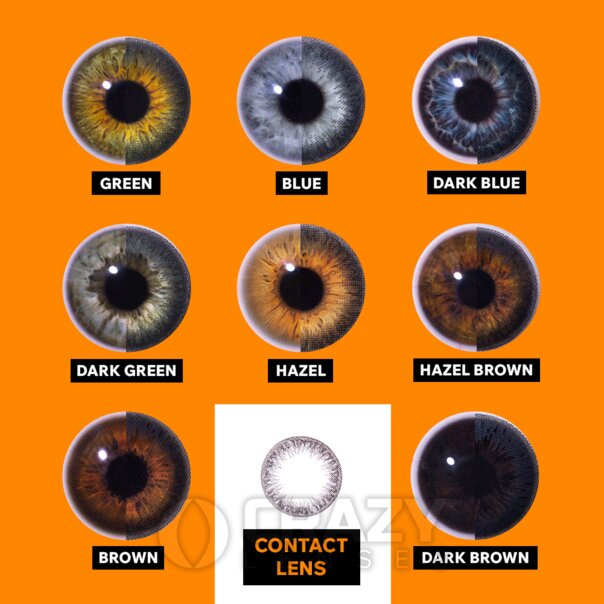 Two Tone gray Circle Natural Contact Lenses (Daily) | Crazy Lenses
