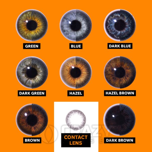 Circle gray Natural Contact Lenses (30 Day) | Crazy Lenses