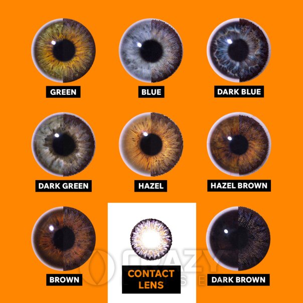 Tri Tone Purple Natural Contact Lenses (Daily) | Crazy Lenses