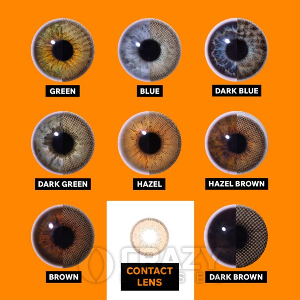 Honey Glaze Brown Natural Contact Lenses (30 Day) | Crazy Lenses