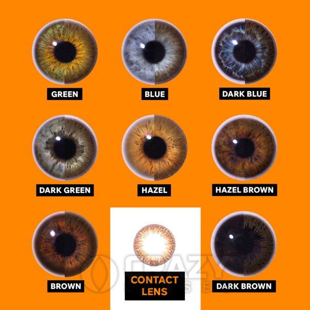Circle Brown Natural Contact Lenses (30 Day) | Crazy Lenses
