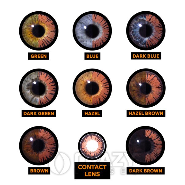 Bella Swan Contact Lenses (Twilight) | Monthly Halloween Lenses